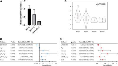 Integrated analysis of necroptosis-related lncRNAs for prognosis and immunotherapy of patients with pancreatic adenocarcinoma